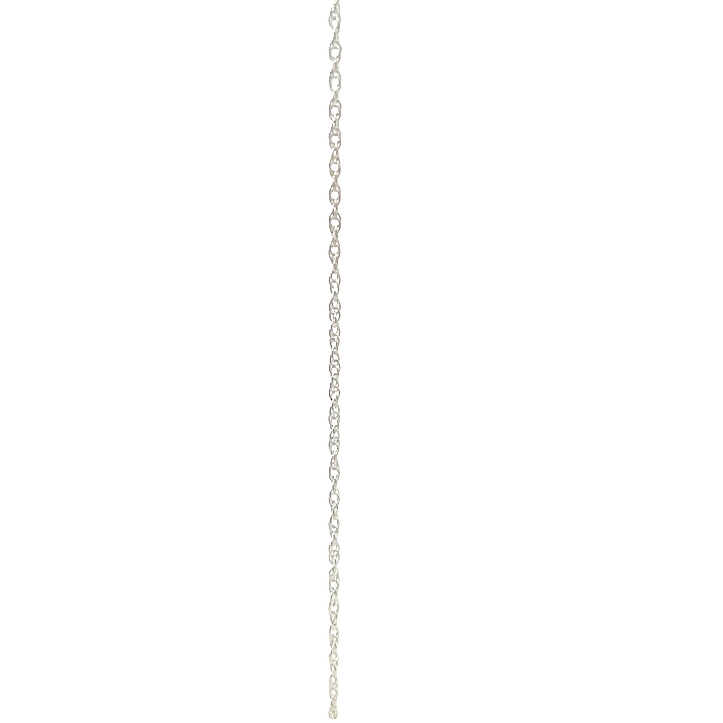 Sterling Silver Rope Chain – bellacouturecarmel